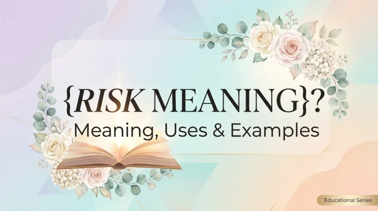 risk meaning